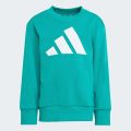 Комплект: світшот і джогери Essentials Kids