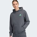 Худи Mercedes - AMG Petronas Formula One Team