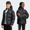 Куртка SYNTHETIC DOWN JACKET