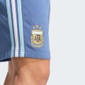 Шорты Argentina DNA