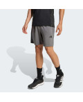Шорти WORKOUT ESSENTIALS BASE WOVEN