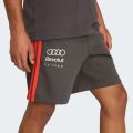 Шорты Audi Formula One Team DNA