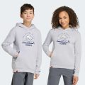 Худи Adidas Minecraft Terrex