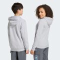 Худи Adidas Minecraft Terrex