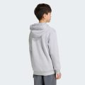 Худи Adidas Minecraft Terrex