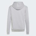 Худи Adidas Minecraft Terrex