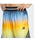 Шорти adidas Crazy Lite AOP