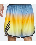 Шорти adidas Crazy Lite AOP