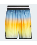 Шорти adidas Crazy Lite AOP