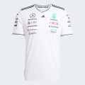 Джерсі Mercedes - AMG Petronas Formula One Team Driver Authentic