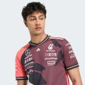 Джерсі Mercedes - AMG Petronas Formula One Team Driver Authentic Summer Pack