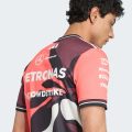 Джерсі Mercedes - AMG Petronas Formula One Team Driver Authentic Summer Pack