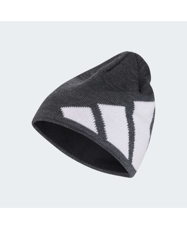 Шапка Big Logo Beanie CLIMAWARM