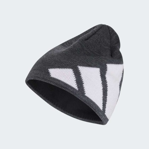 Шапка Big Logo Beanie CLIMAWARM
