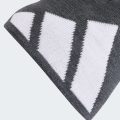 Шапка Big Logo Beanie CLIMAWARM