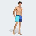 Плавальні шорти COLORBLOCK 5INCH