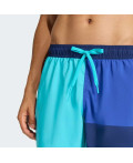 Плавальні шорти COLORBLOCK 5INCH