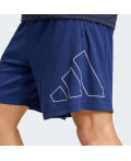 Шорти WORKOUT ESSENTIALS BASE PIQUE BIG LOGO
