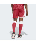 Домашні шорти Liverpool FC 26/27 Home