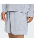 Шорти WORKOUT ESSENTIALS BASE PIQUE BIG LOGO