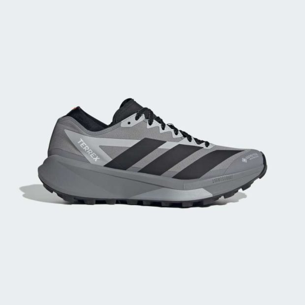 Кросівки Terrex Agravic GTX 2 Trail Running