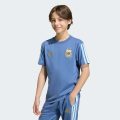 Футболка Argentina DNA Kids