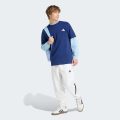 Брюки ADIDAS Z.N.E.