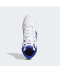 Кросівки HOOPS MID CLASSIC