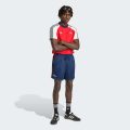 Шорты Arsenal FC Originals